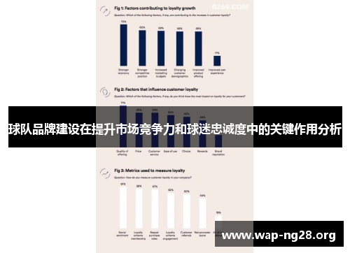 球队品牌建设在提升市场竞争力和球迷忠诚度中的关键作用分析