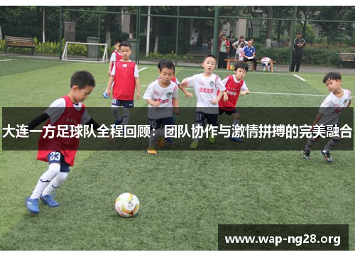 大连一方足球队全程回顾：团队协作与激情拼搏的完美融合