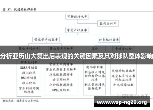 分析亚历山大复出后表现的关键因素及其对球队整体影响