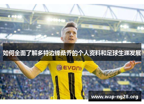 如何全面了解多特边锋桑乔的个人资料和足球生涯发展