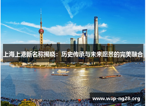上海上港新名称揭晓：历史传承与未来愿景的完美融合
