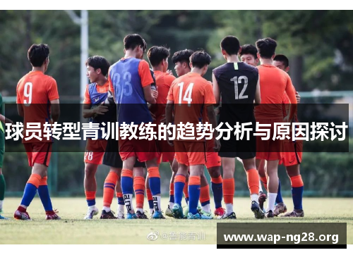 球员转型青训教练的趋势分析与原因探讨