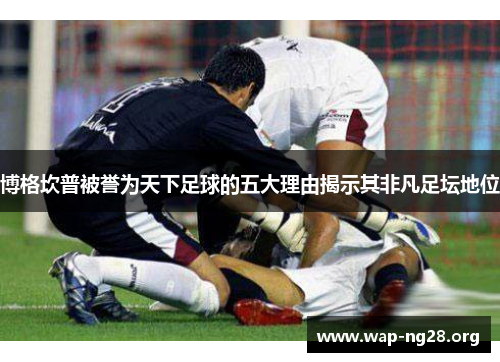博格坎普被誉为天下足球的五大理由揭示其非凡足坛地位