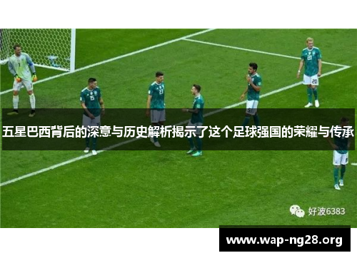 五星巴西背后的深意与历史解析揭示了这个足球强国的荣耀与传承