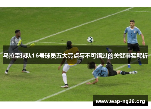 乌拉圭球队16号球员五大亮点与不可错过的关键事实解析