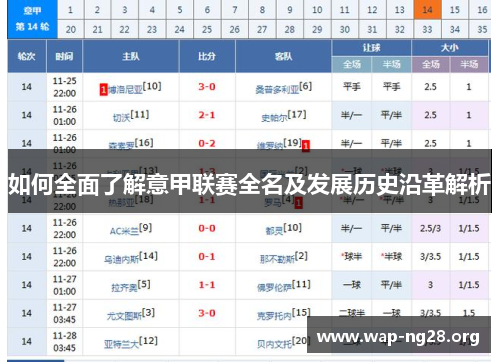 如何全面了解意甲联赛全名及发展历史沿革解析