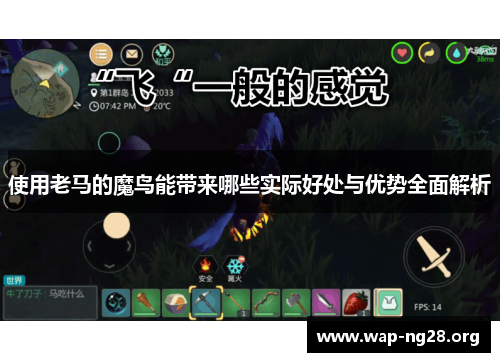 使用老马的魔鸟能带来哪些实际好处与优势全面解析