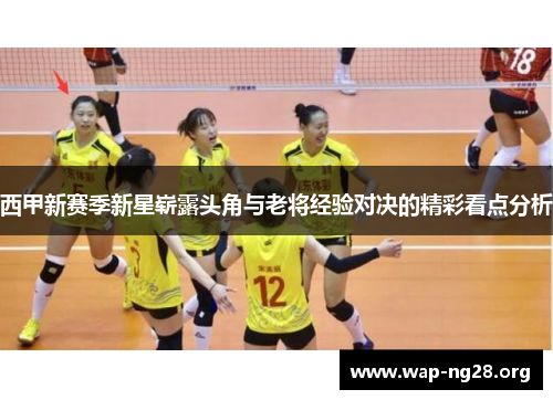 西甲新赛季新星崭露头角与老将经验对决的精彩看点分析