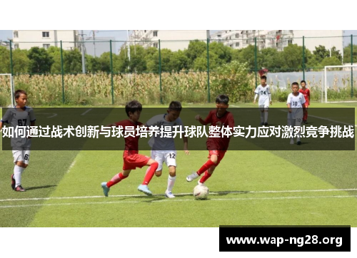 如何通过战术创新与球员培养提升球队整体实力应对激烈竞争挑战