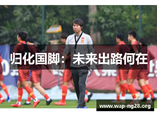 归化国脚：未来出路何在